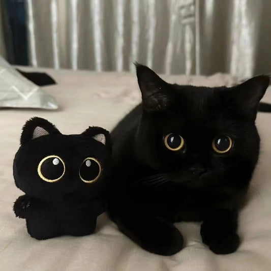 10cm Cute Black Cat plush toy Doll keychain